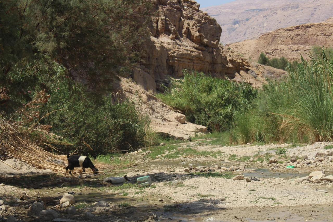 Wadi Al-Hassa Camp Hotel Khawkhah Luaran gambar