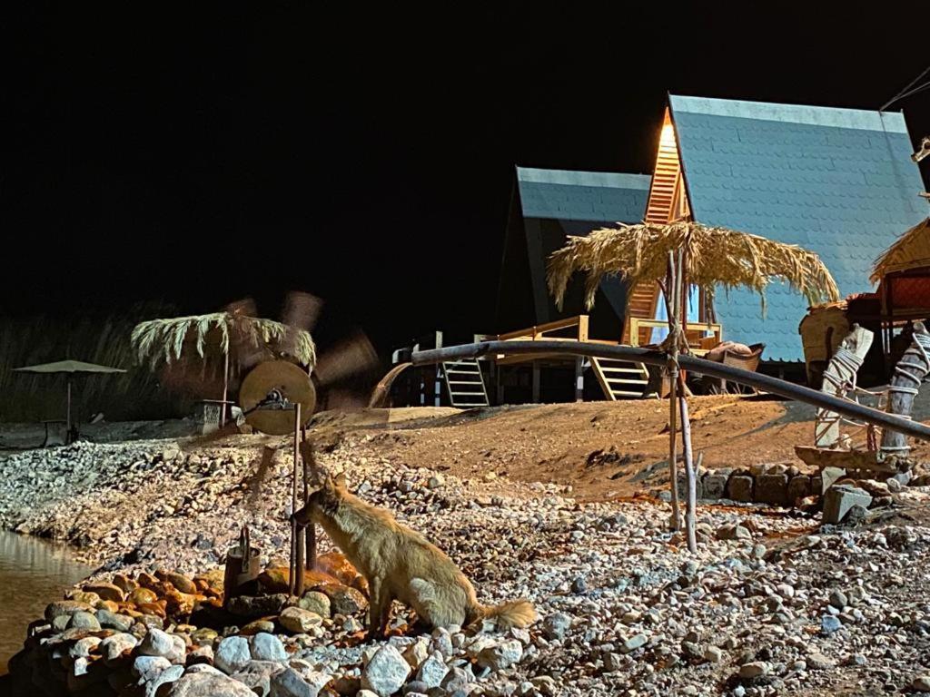 Wadi Al-Hassa Camp Hotel Khawkhah Luaran gambar