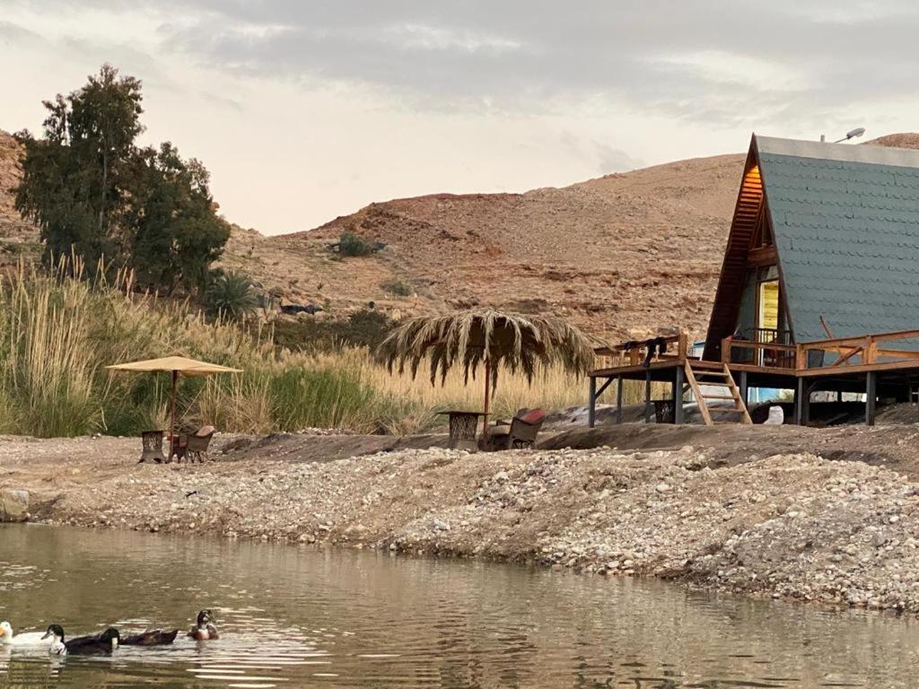 Wadi Al-Hassa Camp Hotel Khawkhah Luaran gambar