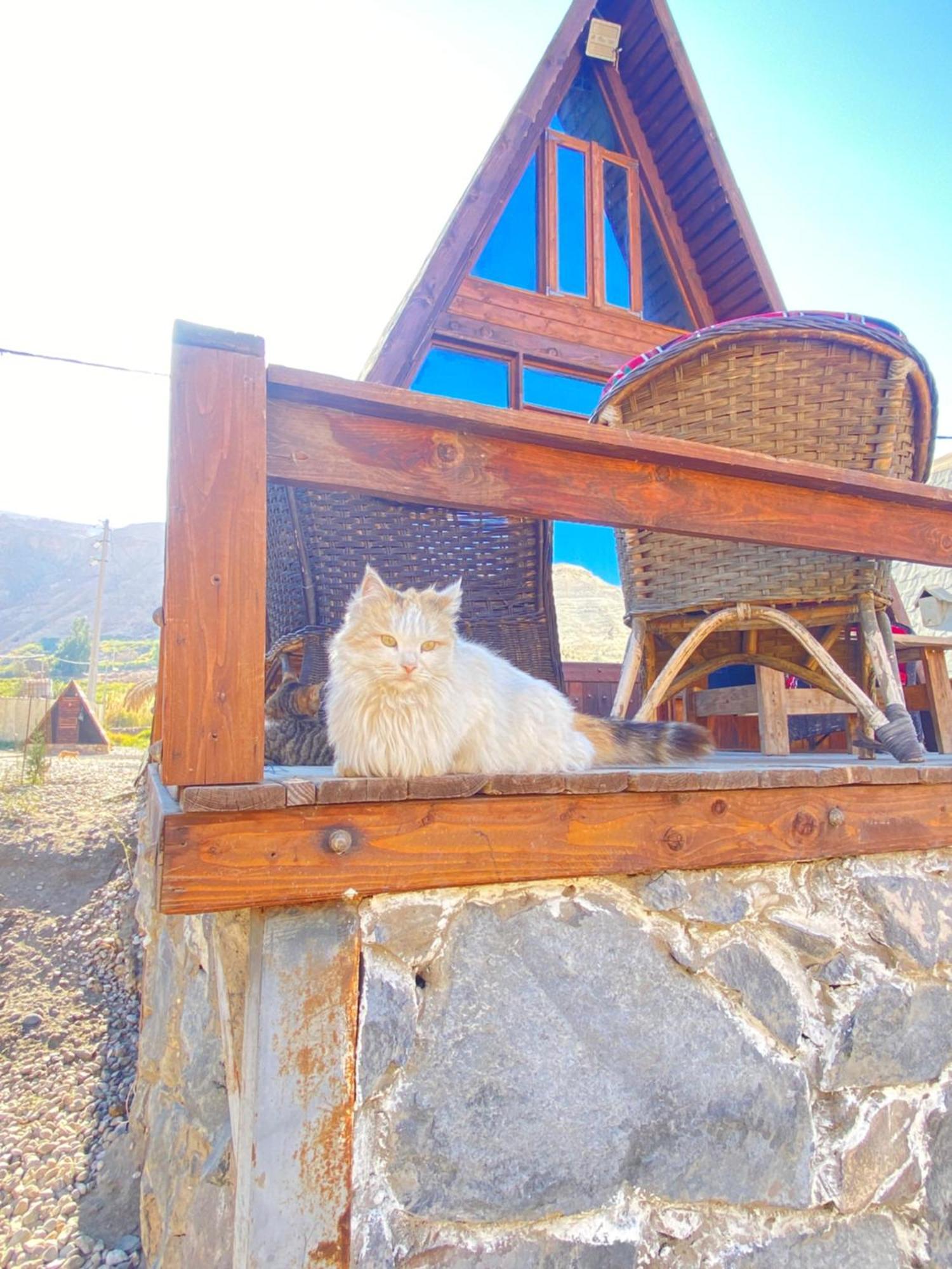 Wadi Al-Hassa Camp Hotel Khawkhah Luaran gambar